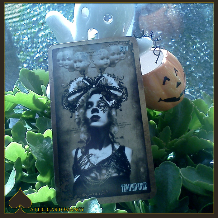 Card of the Day: The Tarot’s Temperance
